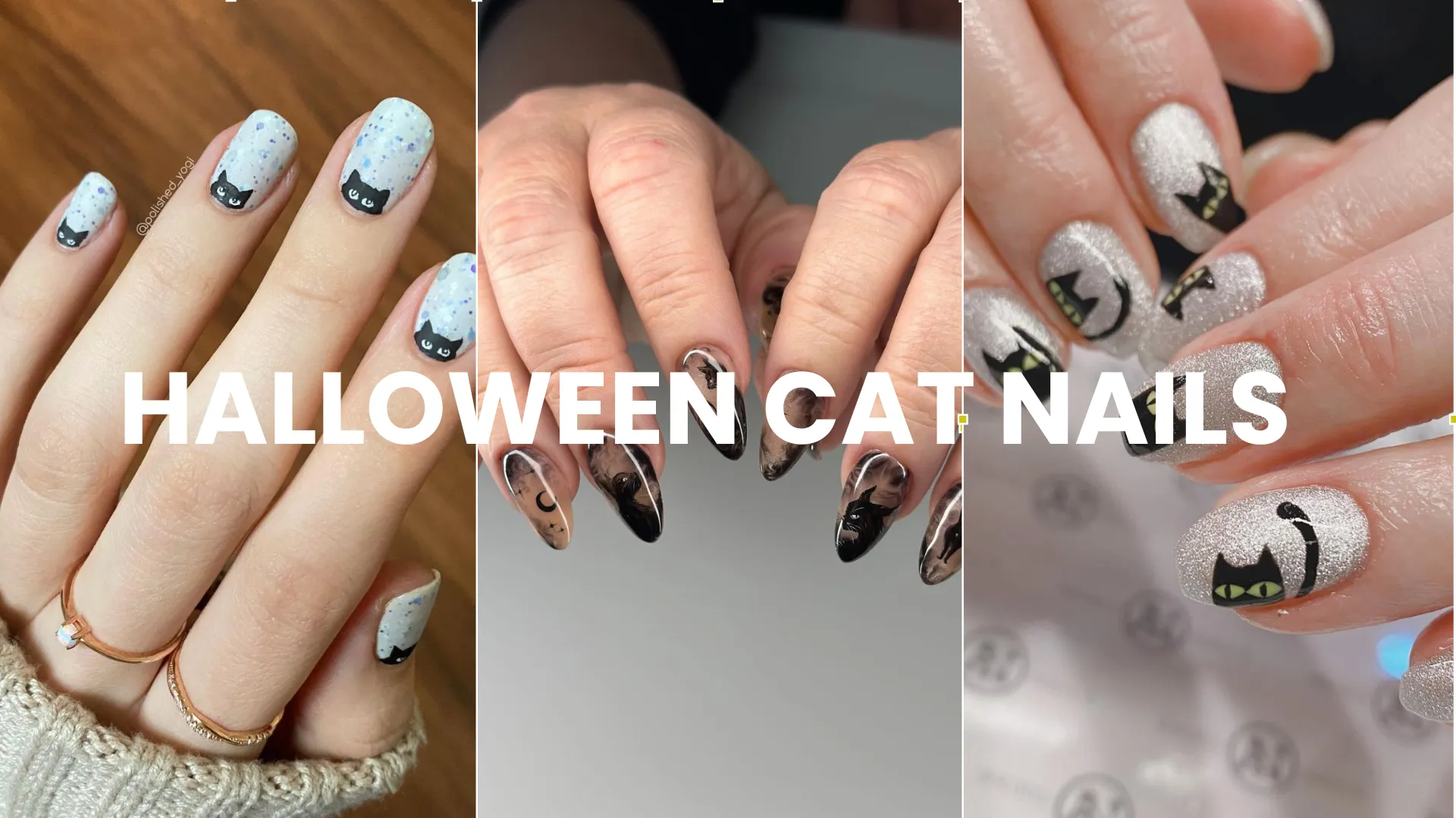 Halloween Cat Nails Designs